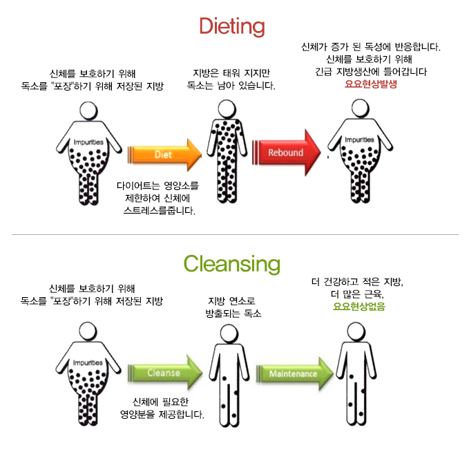 다이어트와 클렌징의 차이
